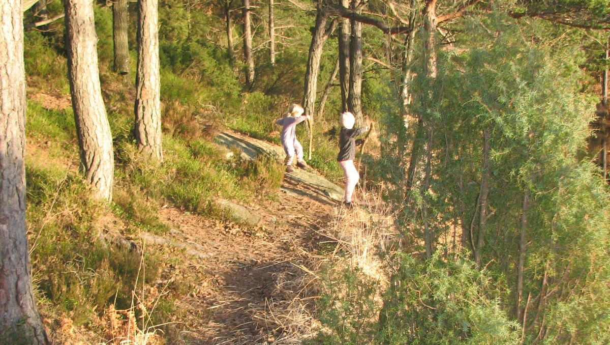 Lek I Skogen